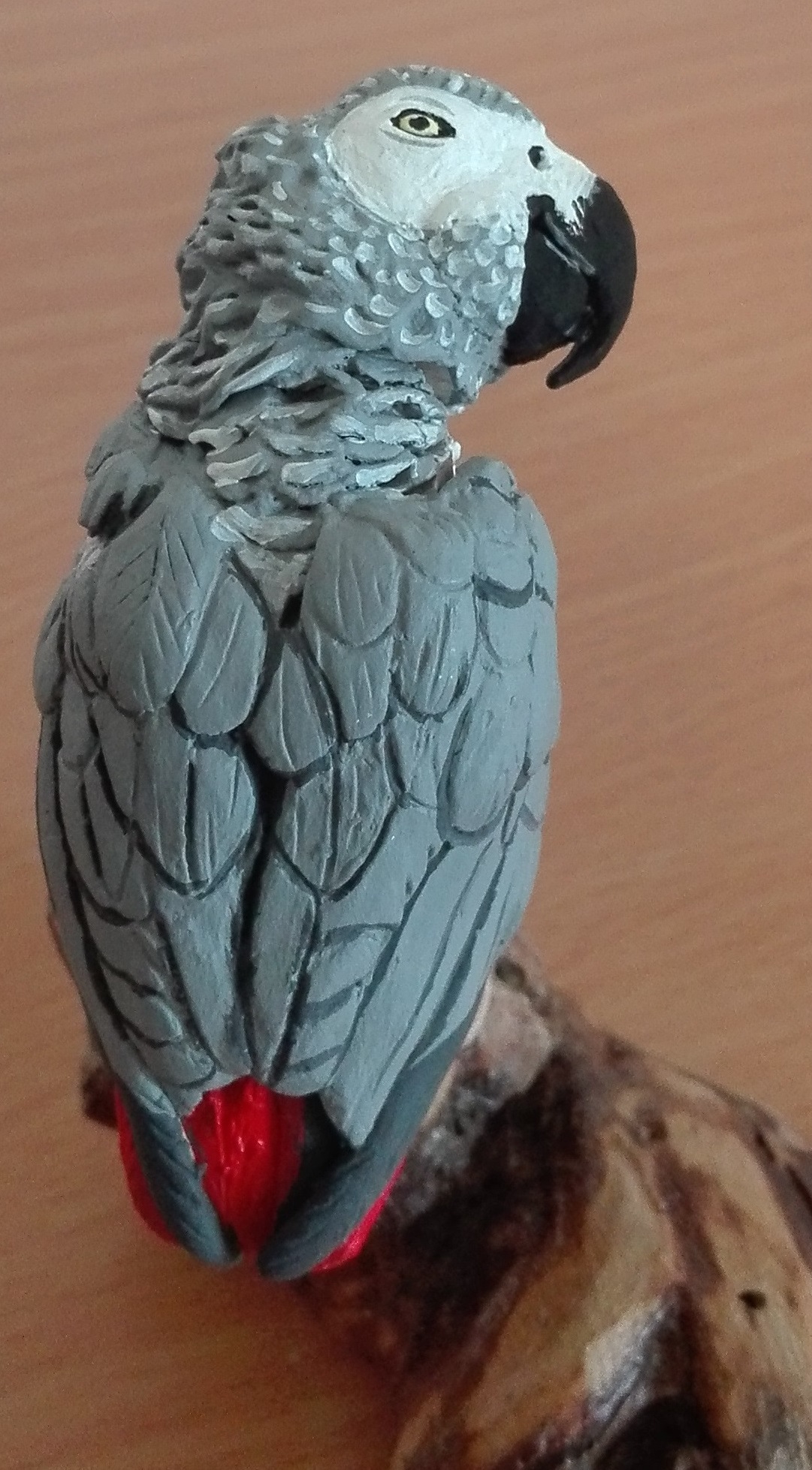 COCOTTE - le perroquet du Gabon