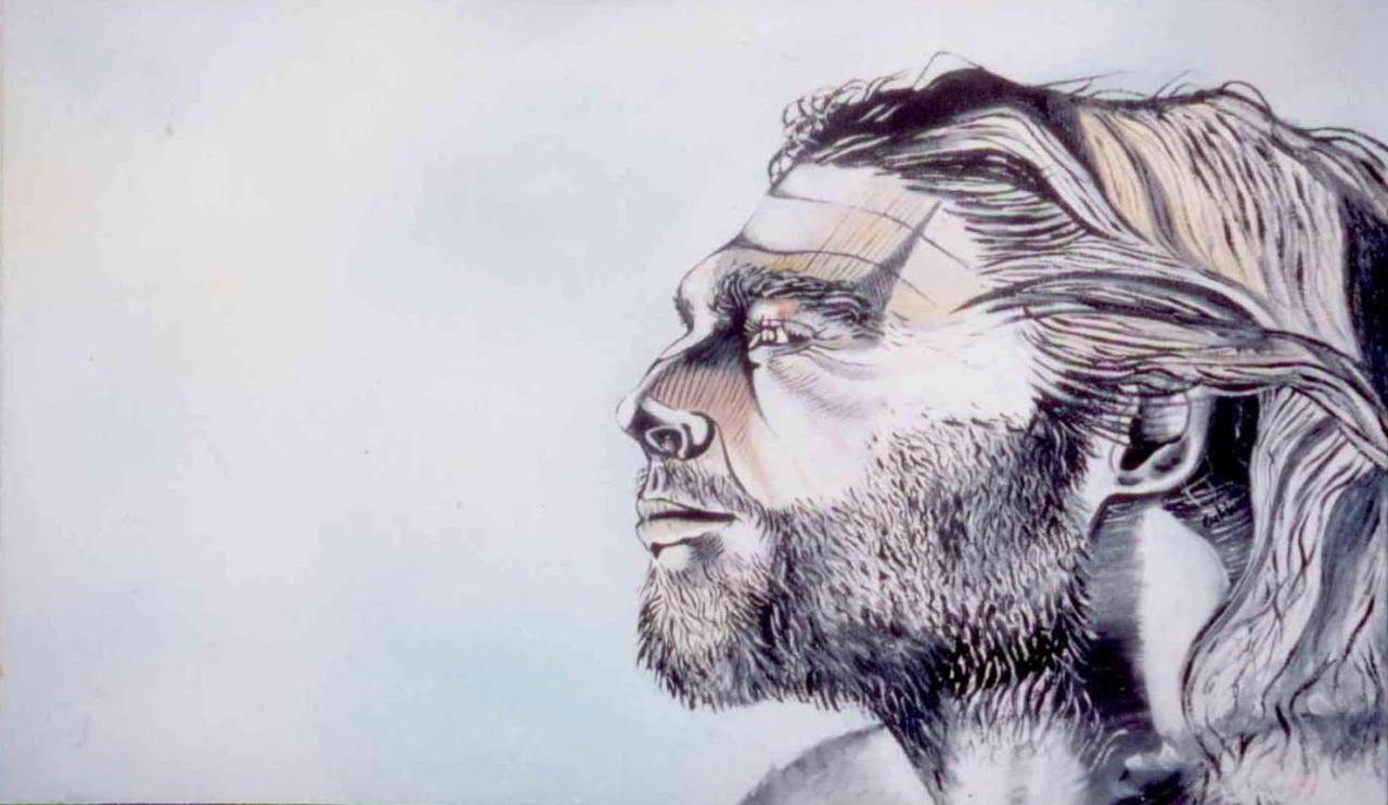 L'HOMME DE CRO-MAGNON 