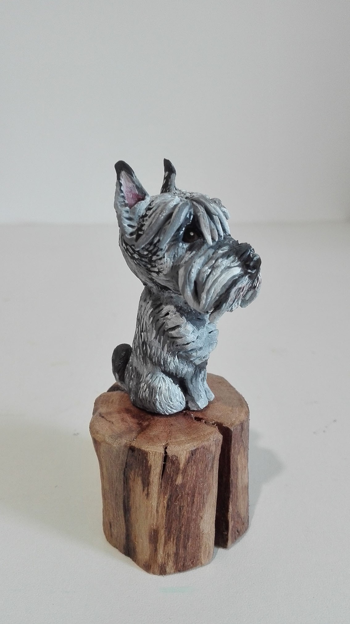 Schnauzer